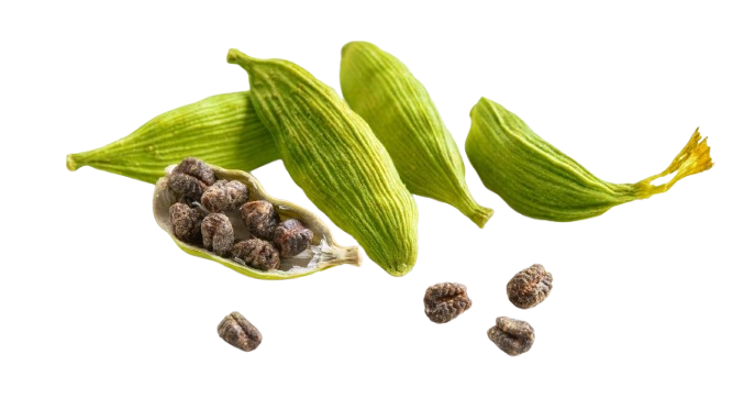 Immunity Capsules