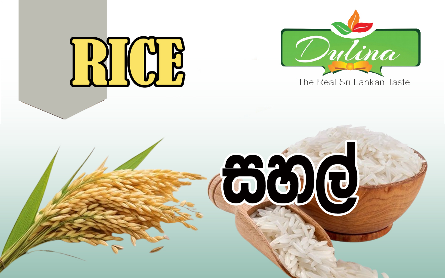 Rice
