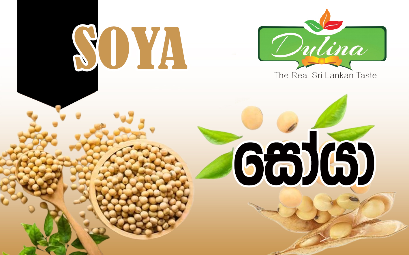Soya