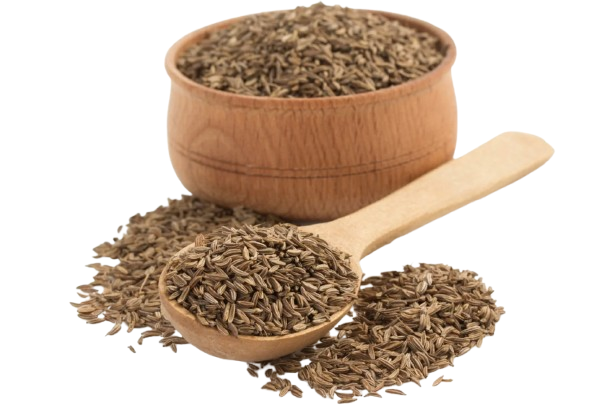 Premium Cumin Powder