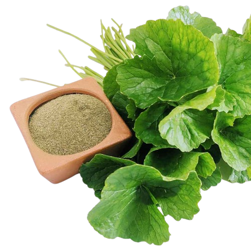 Dehydrated Gotukola