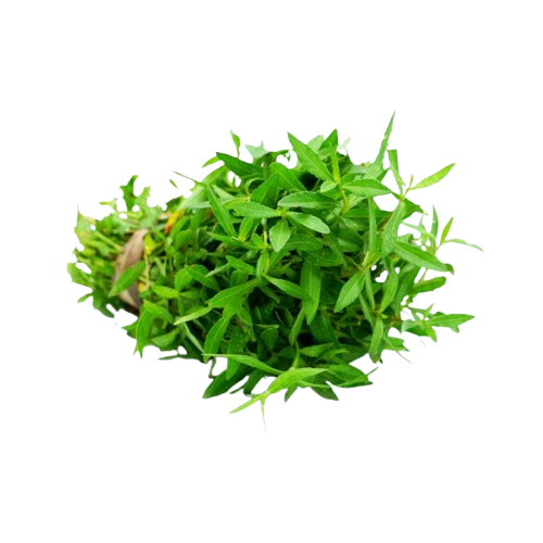 Dehydrated Mukunuwanna