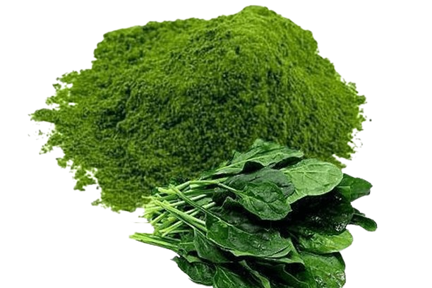 Dehydrated Spinach