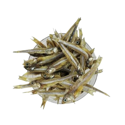 Sprats